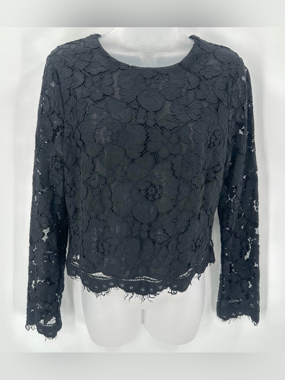 WAYF Top Womens S Black Lace Goth Exposed Zipper Scallop Hem Long Sleeve Crop